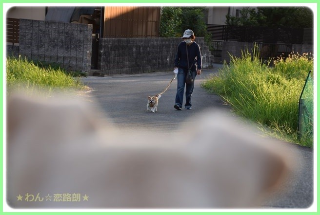 f:id:yasukazu01:20160823204147j:image f:id:yasukazu01:20160823204147j:image