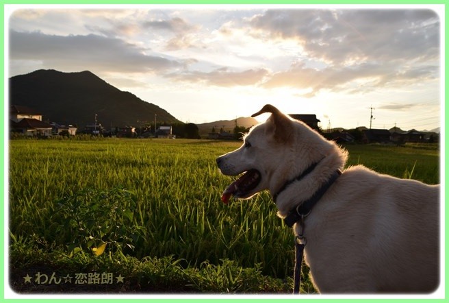 f:id:yasukazu01:20160823204353j:image f:id:yasukazu01:20160823204353j:image