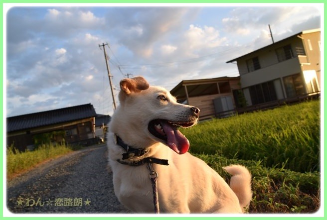 f:id:yasukazu01:20160823204437j:image f:id:yasukazu01:20160823204437j:image