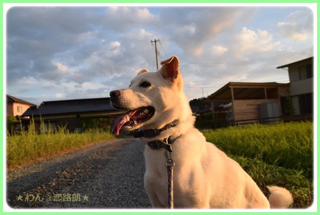 f:id:yasukazu01:20160823204529j:image f:id:yasukazu01:20160823204529j:image