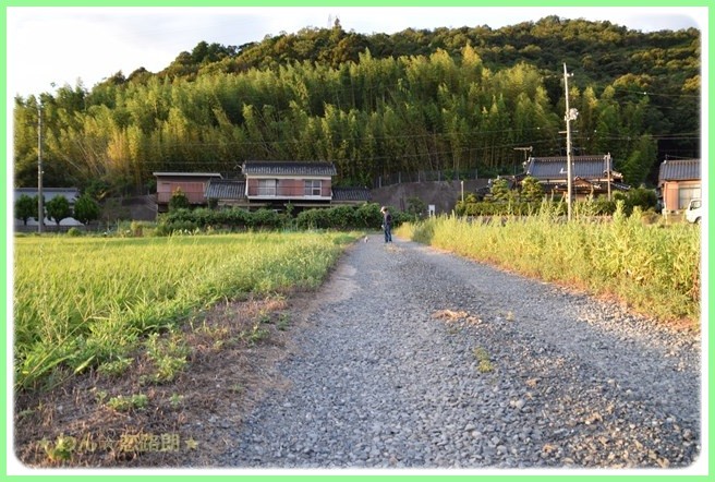 f:id:yasukazu01:20160823204642j:image f:id:yasukazu01:20160823204642j:image