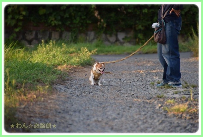 f:id:yasukazu01:20160823204726j:image f:id:yasukazu01:20160823204726j:image