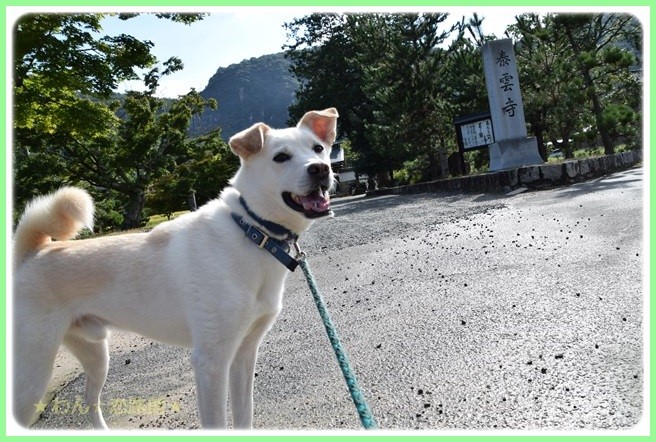 f:id:yasukazu01:20160830202248j:image f:id:yasukazu01:20160830202248j:image