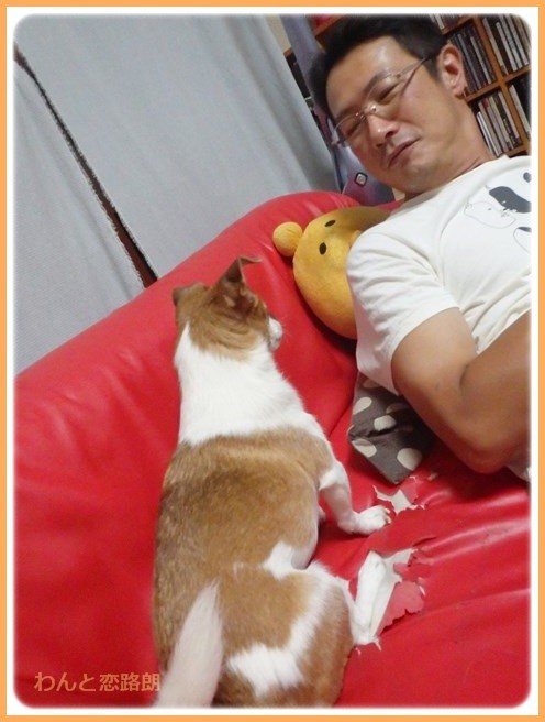 f:id:yasukazu01:20160908204631j:image