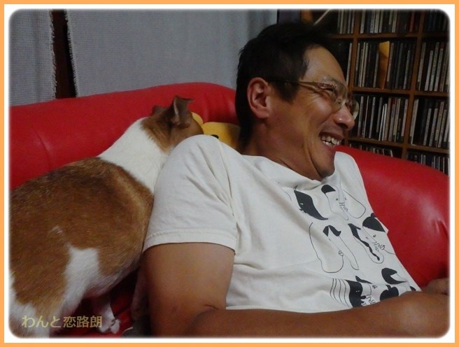 f:id:yasukazu01:20160908204716j:image