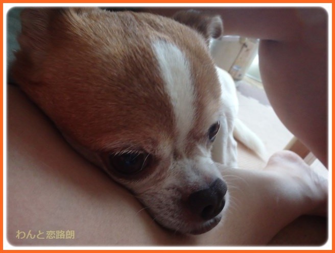 f:id:yasukazu01:20160918202011j:image
