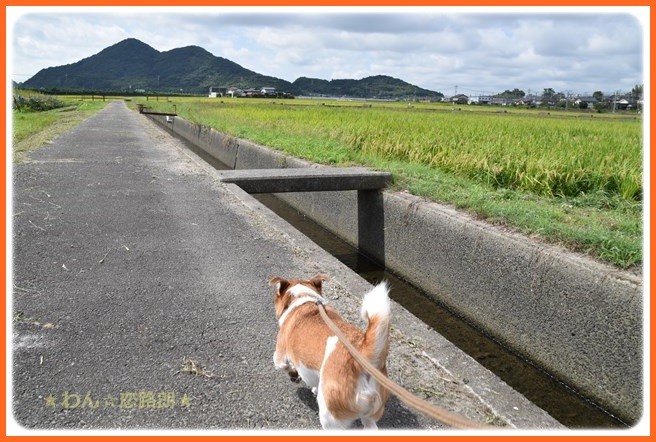 f:id:yasukazu01:20160920204357j:image