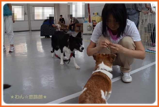 f:id:yasukazu01:20160920210352j:image