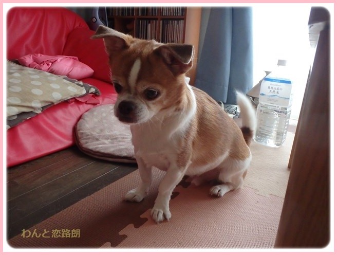 f:id:yasukazu01:20161001212459j:image