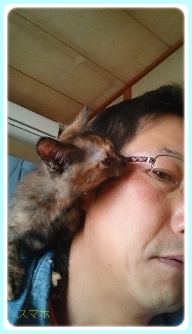 f:id:yasukazu01:20161012132710j:image