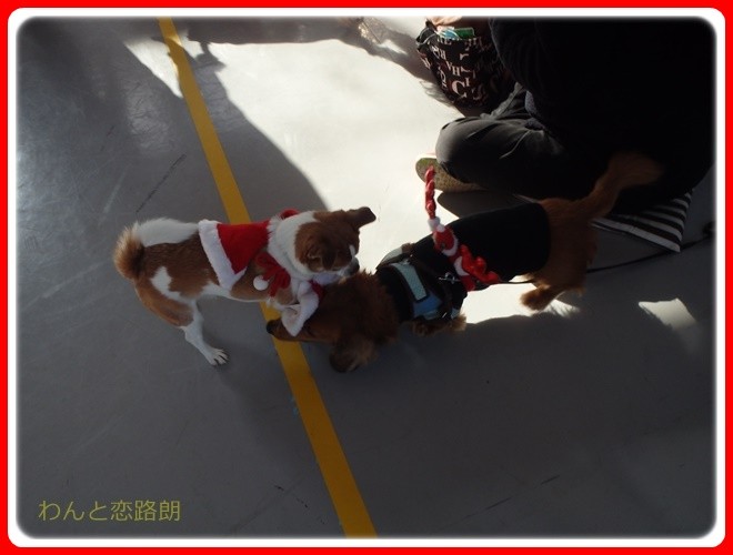 f:id:yasukazu01:20161217105259j:image