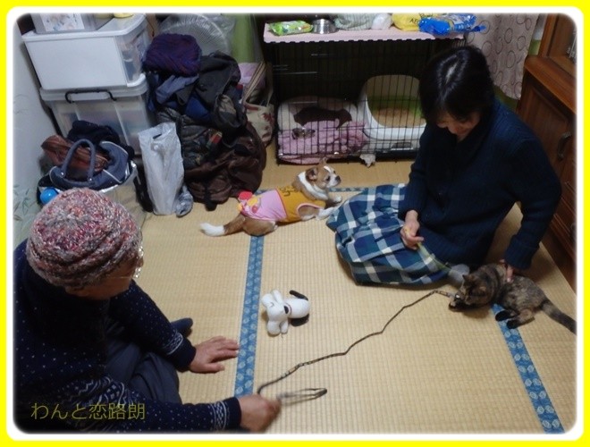 f:id:yasukazu01:20161231183754j:image