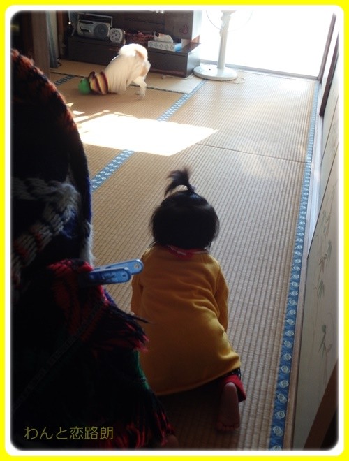 f:id:yasukazu01:20170101135514j:image