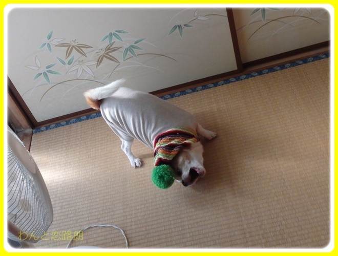 f:id:yasukazu01:20170101135803j:image