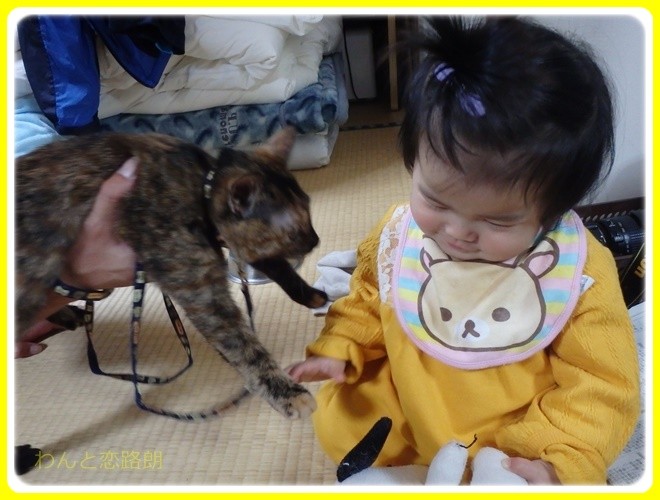 f:id:yasukazu01:20170101190707j:image f:id:yasukazu01:20170101190707j:image