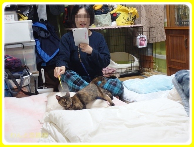 f:id:yasukazu01:20170105190758j:image
