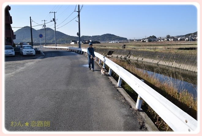 f:id:yasukazu01:20170128101742j:image