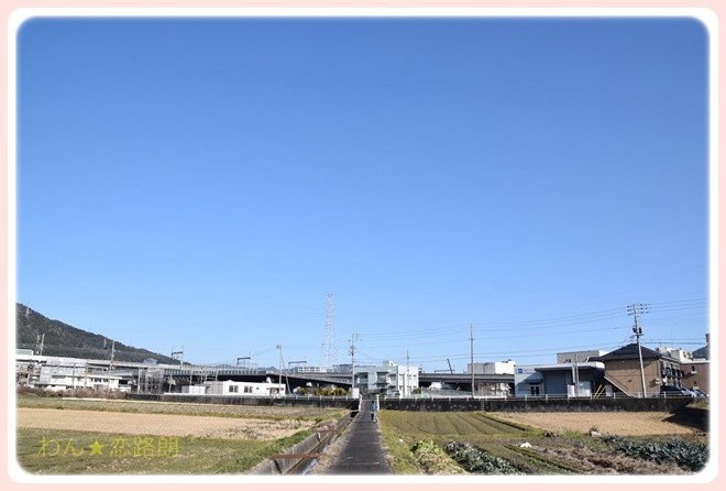 f:id:yasukazu01:20170128102044j:image