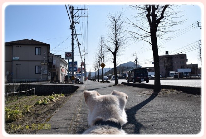 f:id:yasukazu01:20170204133038j:image