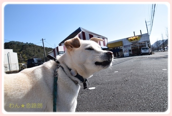 f:id:yasukazu01:20170204205622j:image