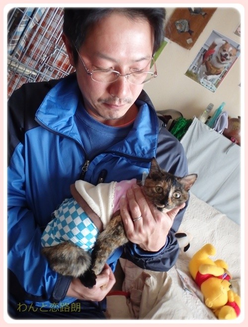 f:id:yasukazu01:20170219163427j:image f:id:yasukazu01:20170219163427j:image