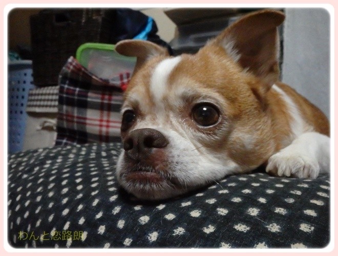 f:id:yasukazu01:20170304220249j:image f:id:yasukazu01:20170304220249j:image