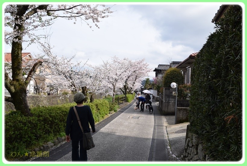 f:id:yasukazu01:20170414145814j:plain