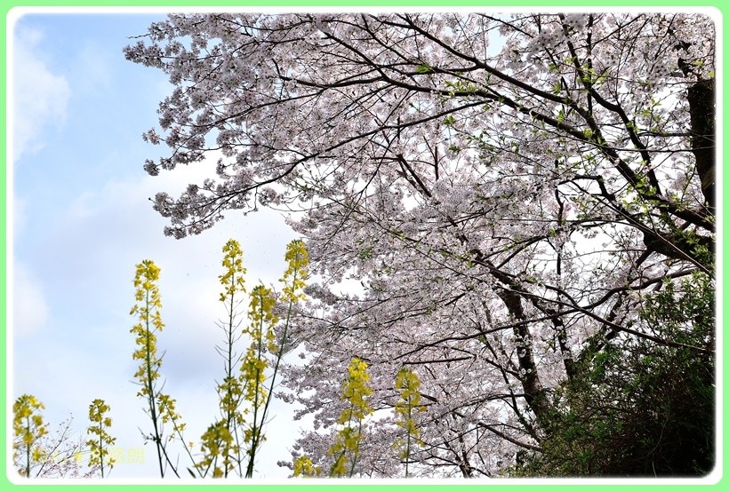 f:id:yasukazu01:20170414150648j:plain