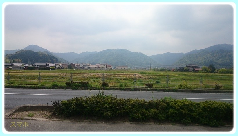 f:id:yasukazu01:20170502114530j:plain