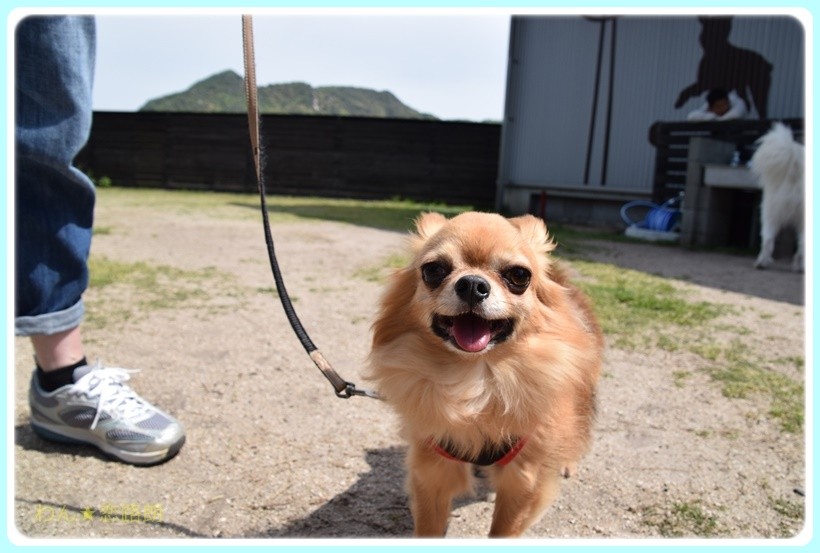 f:id:yasukazu01:20170507083747j:plain f:id:yasukazu01:20170507083747j:plain