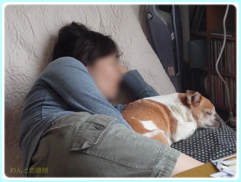 f:id:yasukazu01:20170507085632j:plain f:id:yasukazu01:20170507085632j:plain