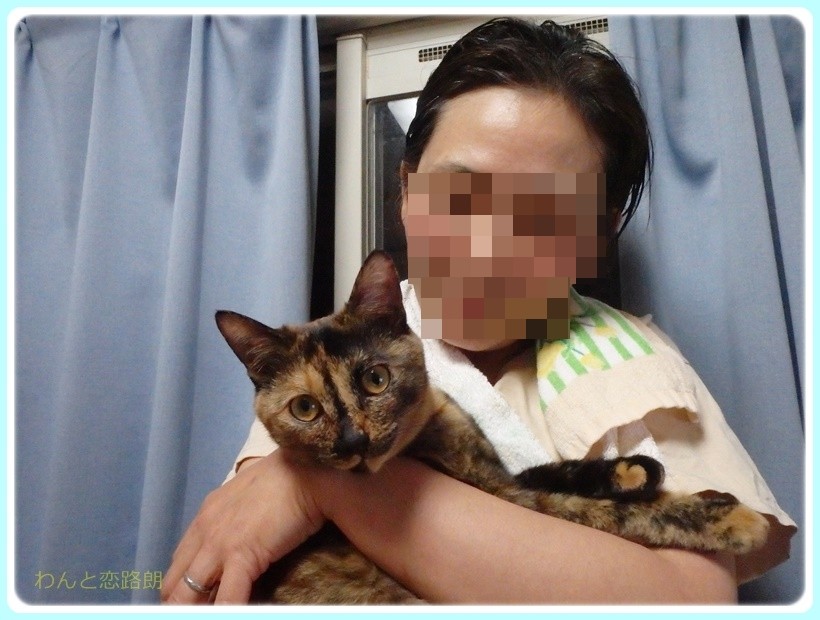 f:id:yasukazu01:20170507085732j:plain f:id:yasukazu01:20170507085732j:plain