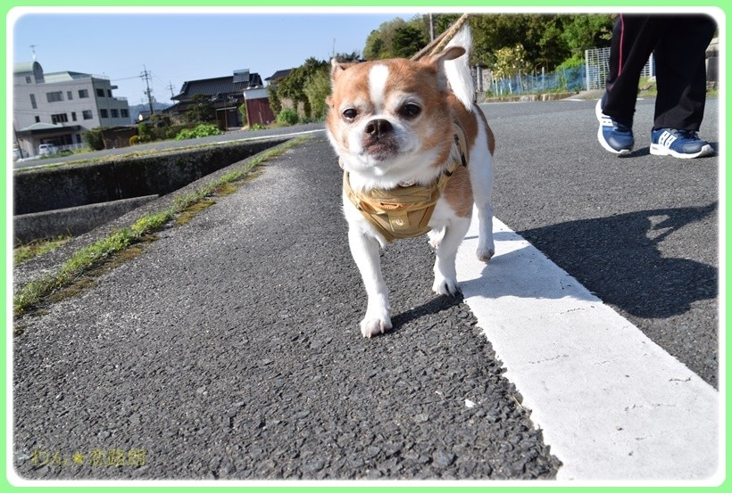 f:id:yasukazu01:20170513202018j:plain f:id:yasukazu01:20170513202018j:plain