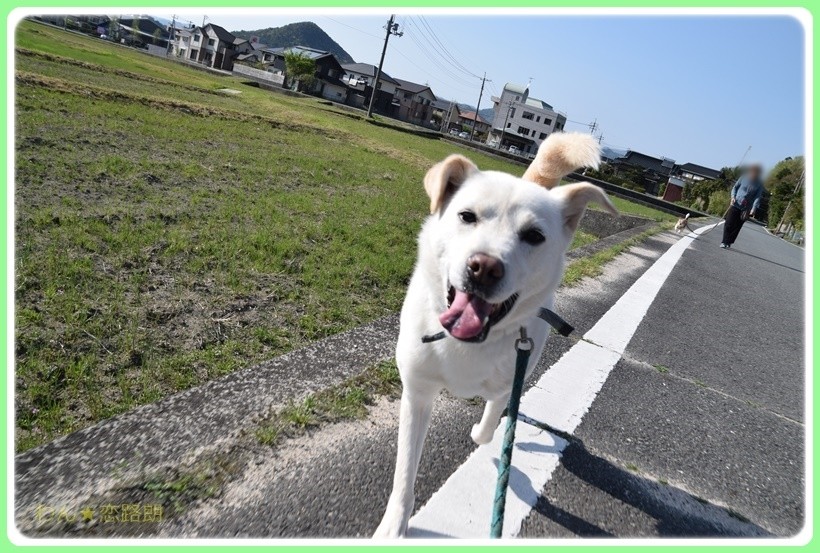 f:id:yasukazu01:20170513202540j:plain f:id:yasukazu01:20170513202540j:plain