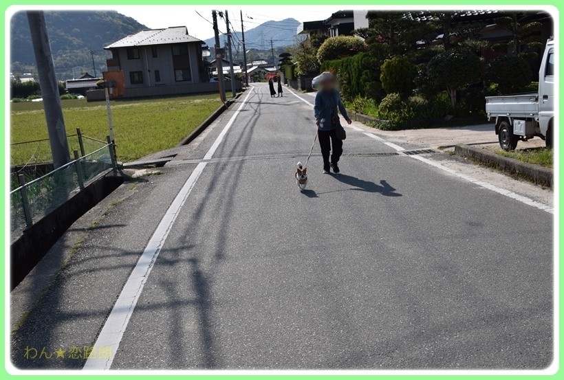 f:id:yasukazu01:20170513203047j:plain f:id:yasukazu01:20170513203047j:plain
