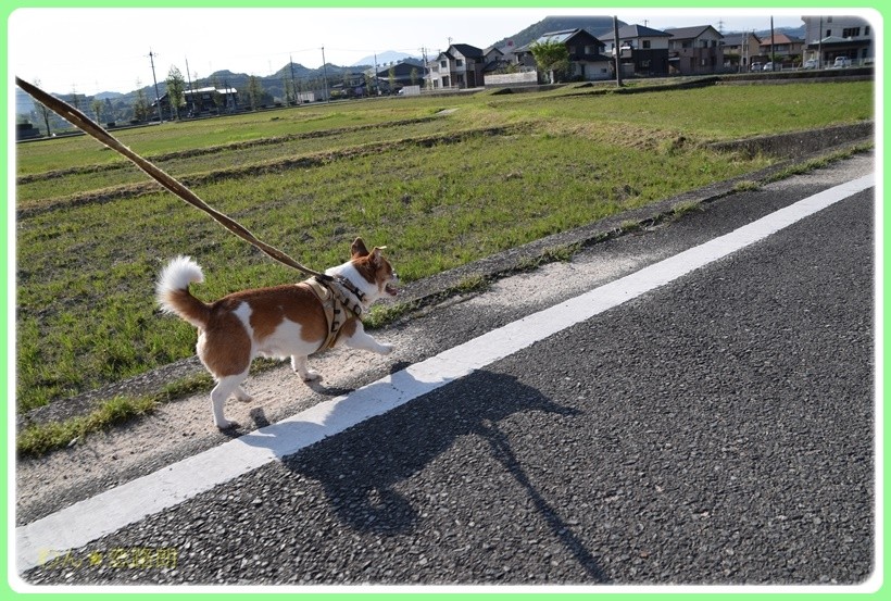 f:id:yasukazu01:20170513203919j:plain f:id:yasukazu01:20170513203919j:plain