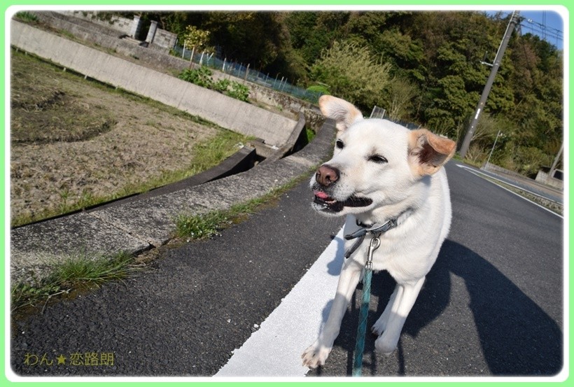 f:id:yasukazu01:20170513204027j:plain f:id:yasukazu01:20170513204027j:plain