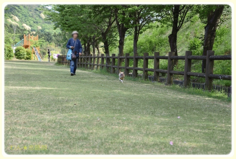 f:id:yasukazu01:20170518143722g:plain