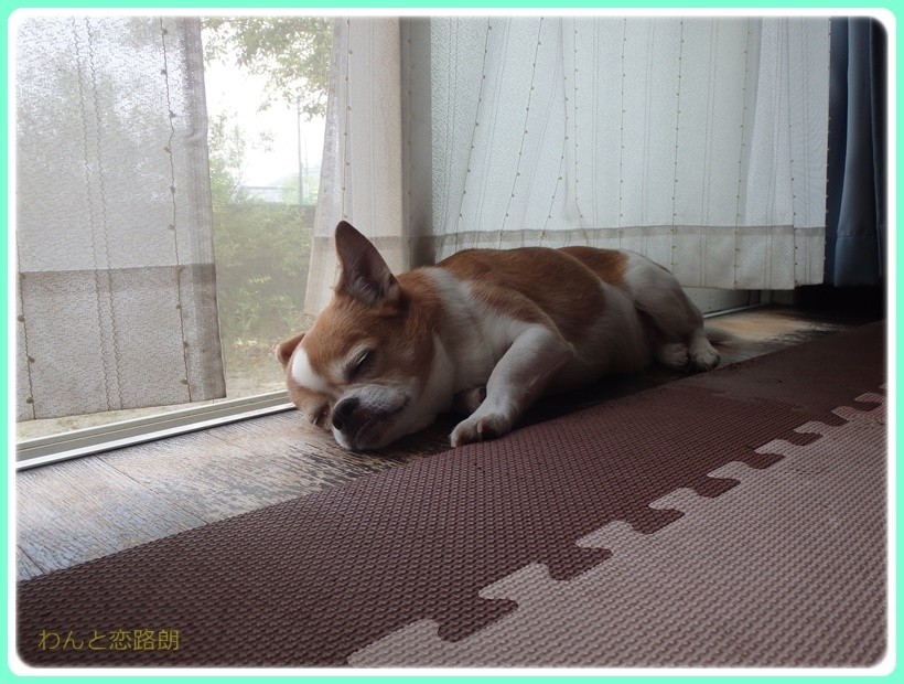 f:id:yasukazu01:20170601144532j:plain