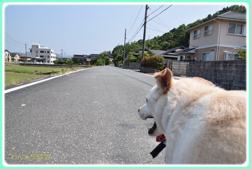 f:id:yasukazu01:20170610154504j:plain