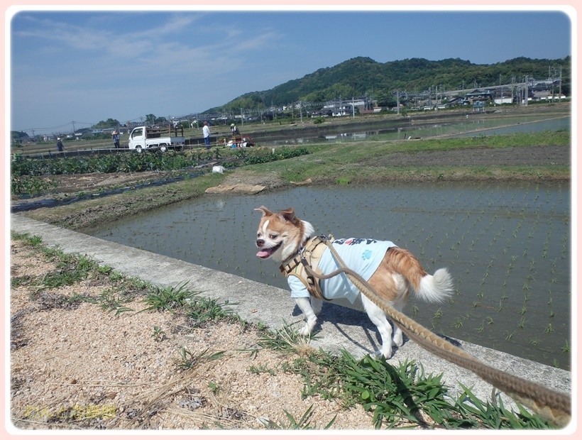 f:id:yasukazu01:20170628145132j:plain f:id:yasukazu01:20170628145132j:plain