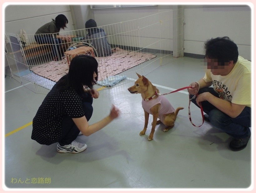 f:id:yasukazu01:20170628145932j:plain f:id:yasukazu01:20170628145932j:plain
