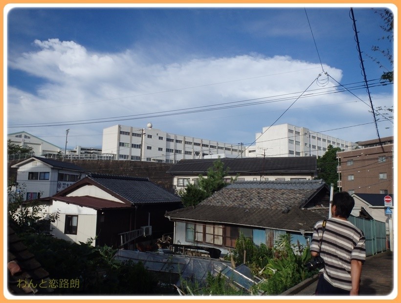 f:id:yasukazu01:20170815115337j:plain
