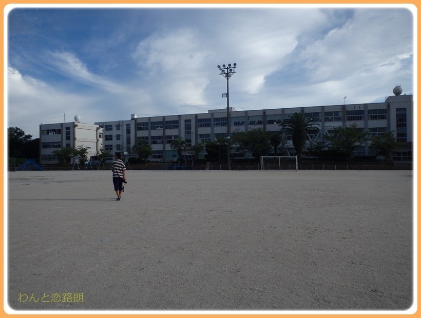 f:id:yasukazu01:20170816130310j:plain