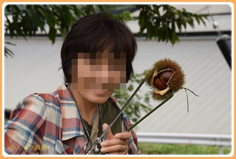 f:id:yasukazu01:20170928175355j:plain