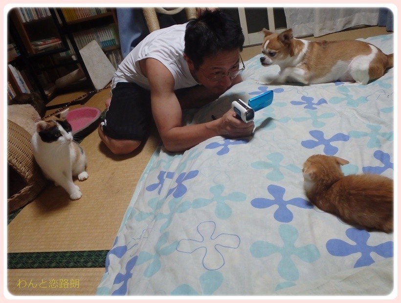 f:id:yasukazu01:20171006144946j:plain