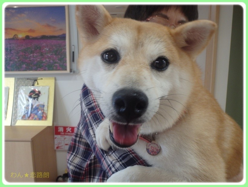 f:id:yasukazu01:20171023183846j:plain