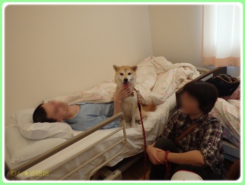 f:id:yasukazu01:20171025182831j:plain