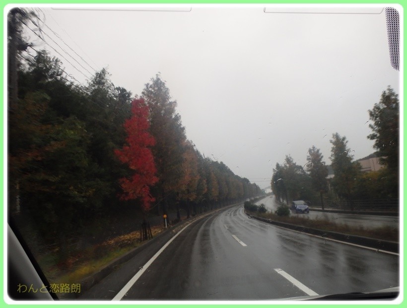 f:id:yasukazu01:20171029201352j:plain