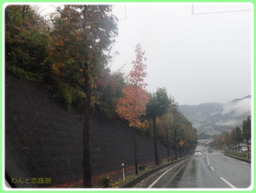 f:id:yasukazu01:20171029201608j:plain